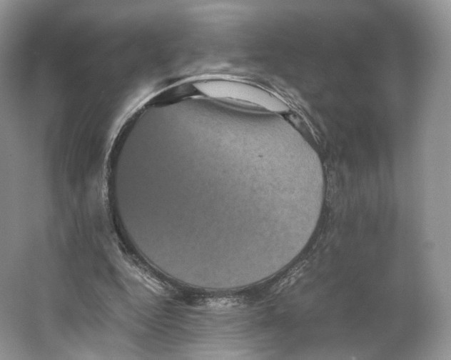 X0000063440344200602171836
