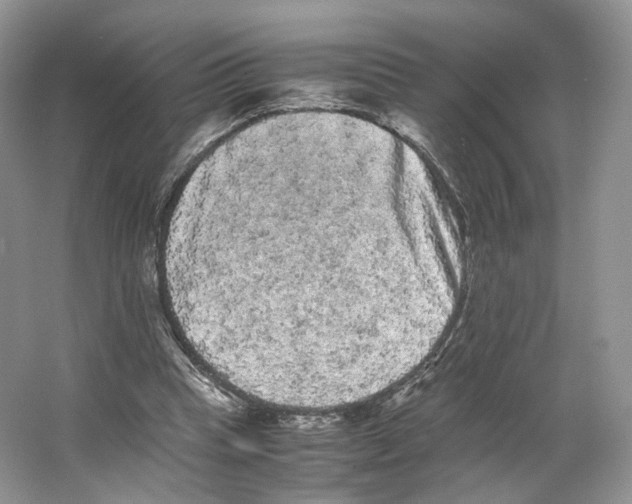 X0000063440345200602171836