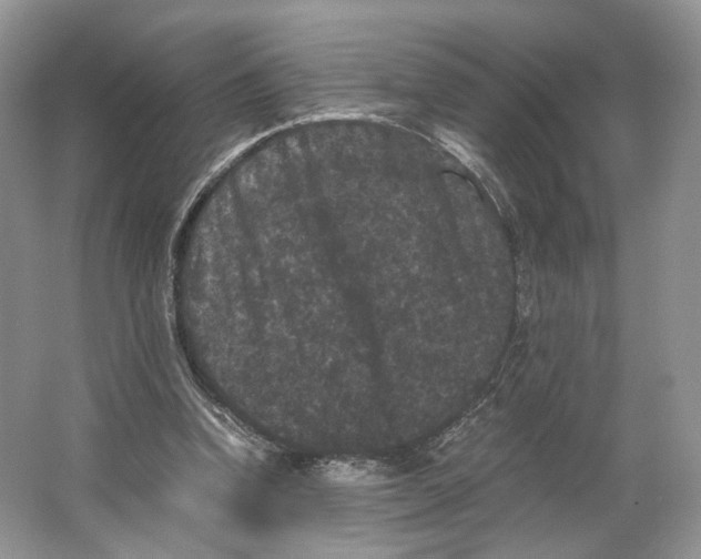 X0000063440346200602171836