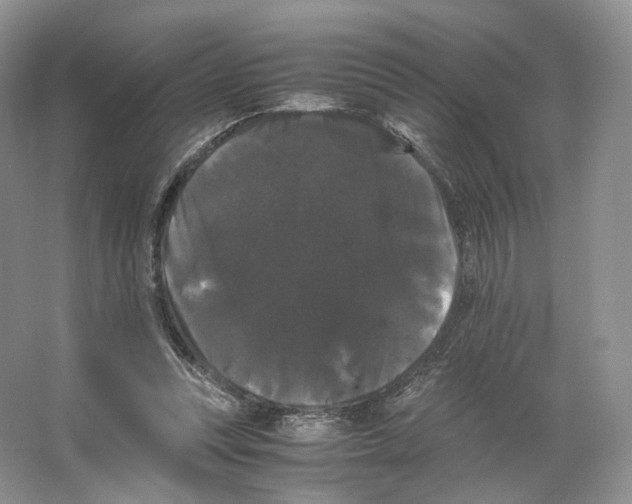 X0000063440351200602171836