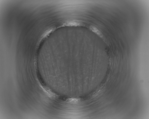 X0000063440352200602171836