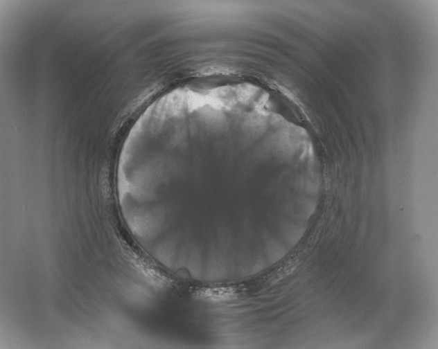 X0000063440353200602171836