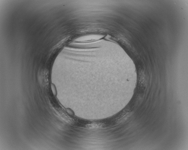 X0000063440356200602171836