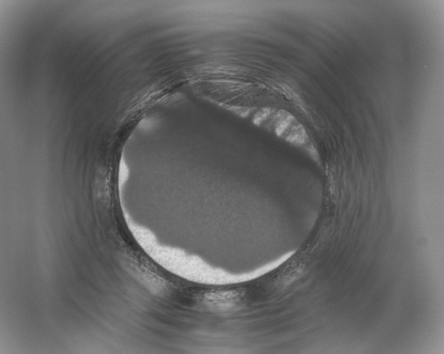 X0000063440357200602171837