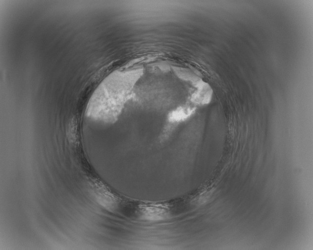X0000063440359200602171837