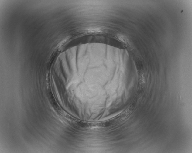 X0000063440360200602171837