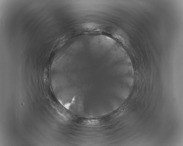 X0000063440361200602171837