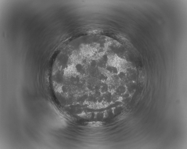 X0000063440363200602171837