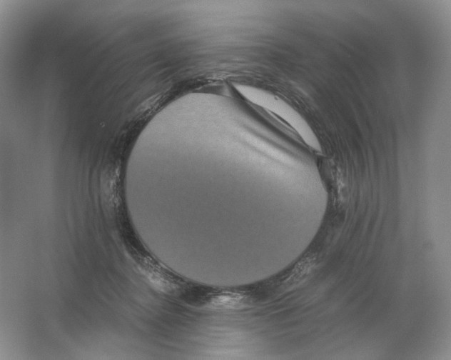 X0000063440364200602171837