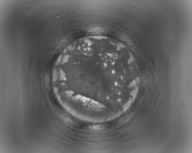 X0000063440365200602171837