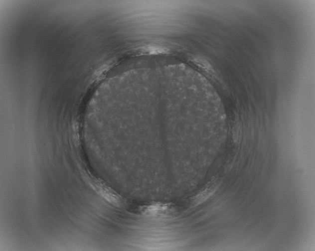 X0000063440366200602171837