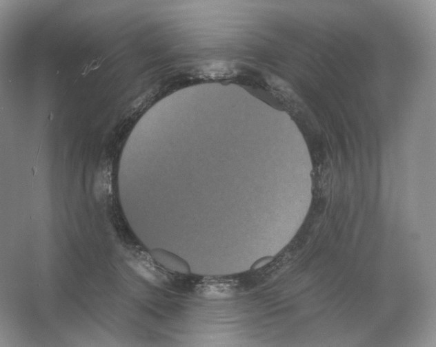 X0000063440368200602171837