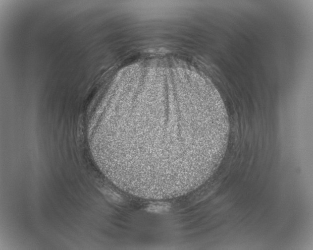 X0000063440369200602171837