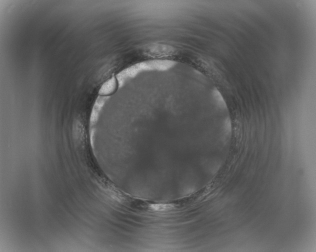 X0000063440371200602171837