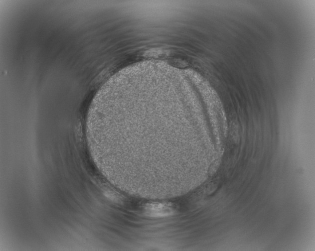 X0000063440375200602171837