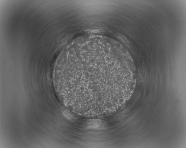 X0000063440377200602171837