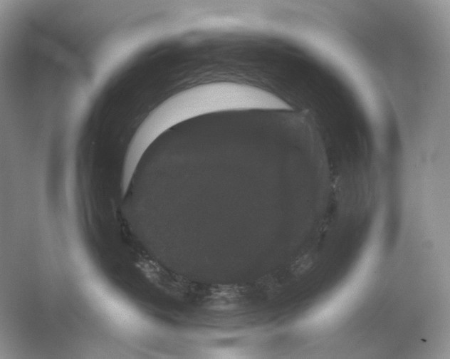 X0000063440382200602171837