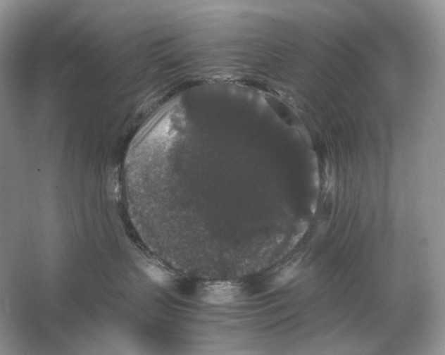 X0000063440383200602171837