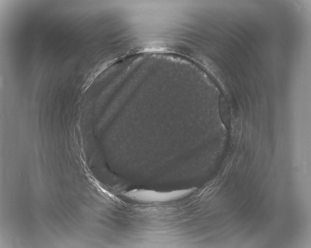 X0000063440385200602171836