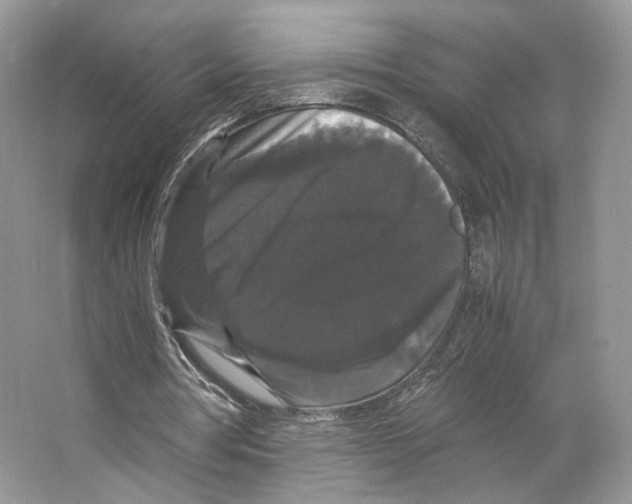 X0000063440386200602171836