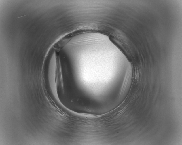 X0000063440388200602171836