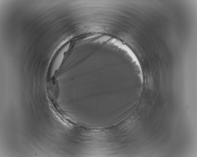 X0000063440390200602171836