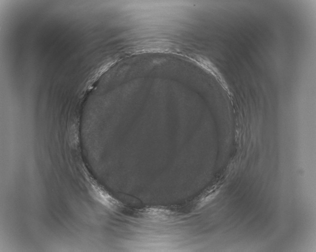 X0000063440393200602171836
