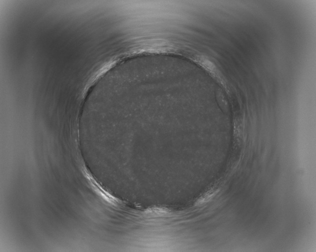 X0000063440397200602171836