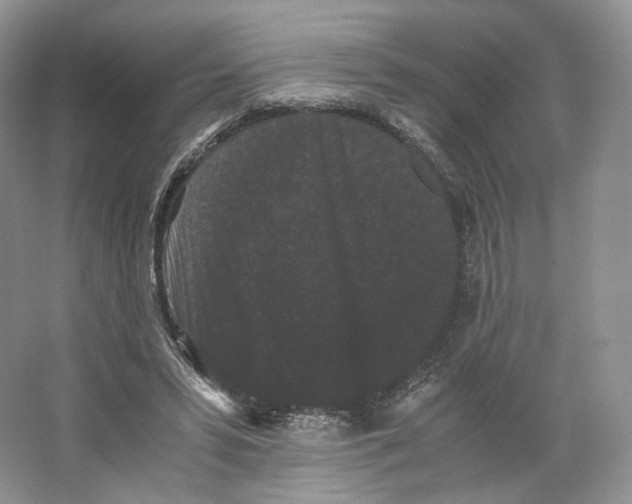 X0000063440399200602171836