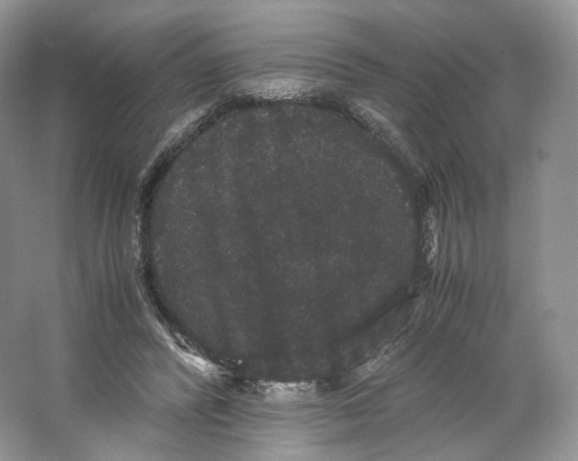 X0000063440400200602171836