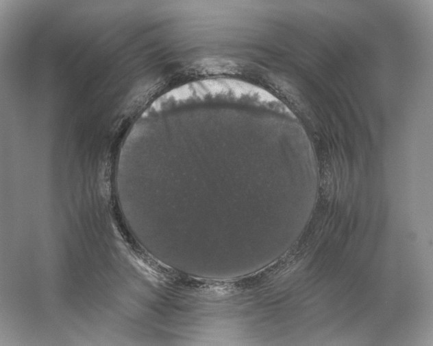 X0000063440402200602171836
