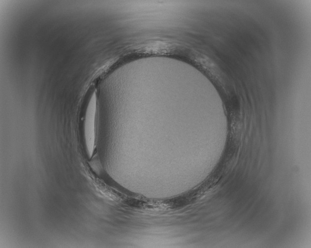 X0000063440403200602171836
