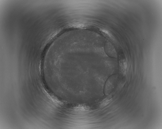 X0000063440404200602171836