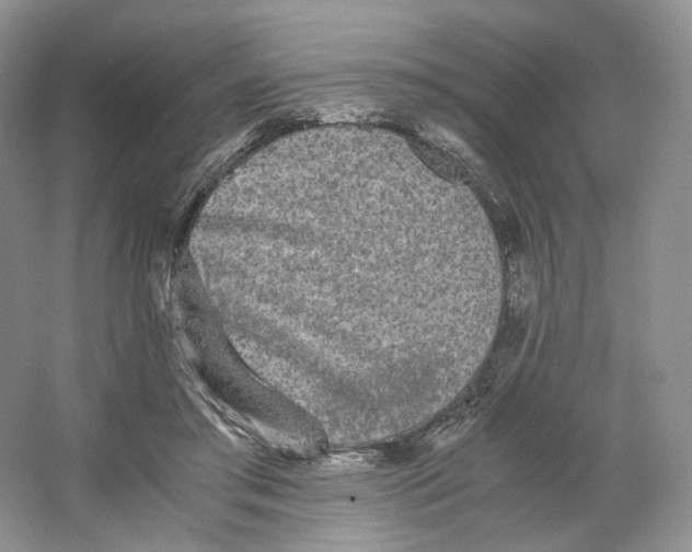 X0000063440405200602171836