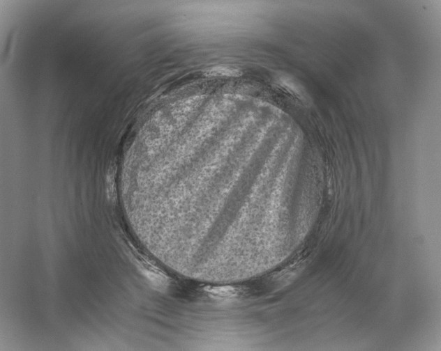 X0000063440409200602171836
