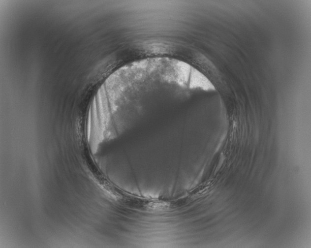 X0000063440410200602171836