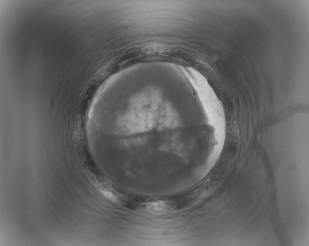 X0000063440411200602171836