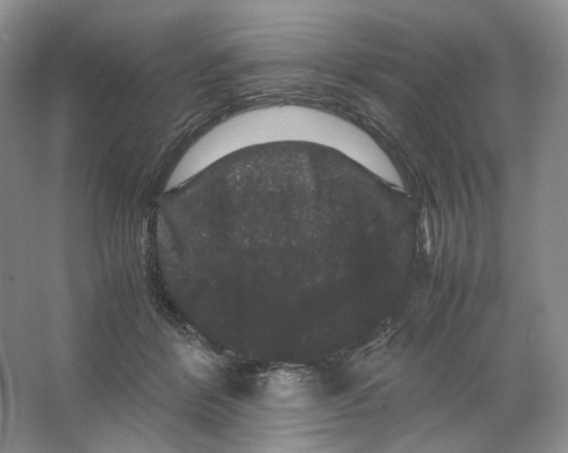 X0000063440412200602171836