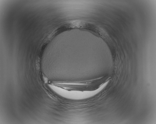 X0000063440413200602171836