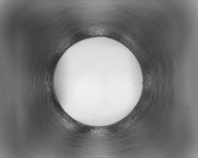 X0000063440414200602171836