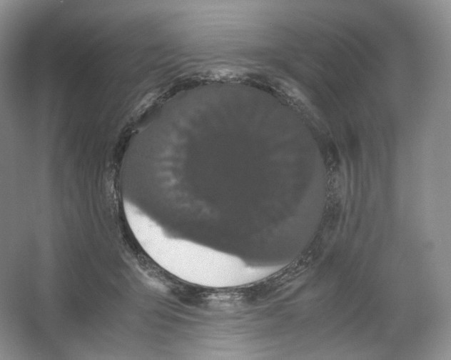 X0000063440415200602171836