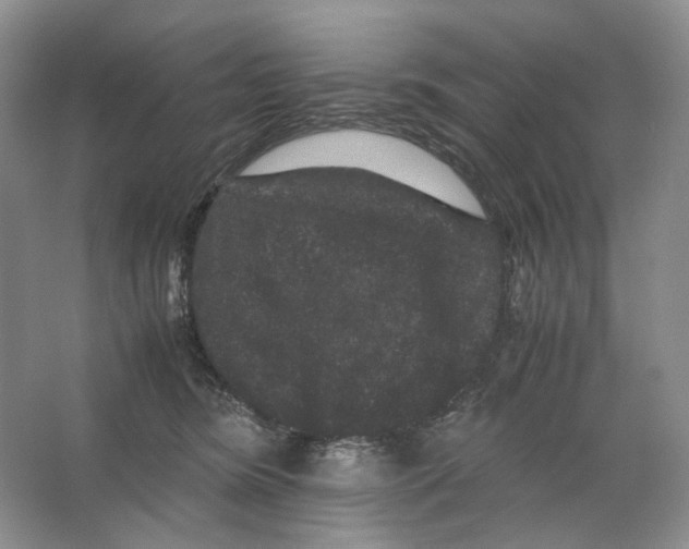 X0000063440420200602171836