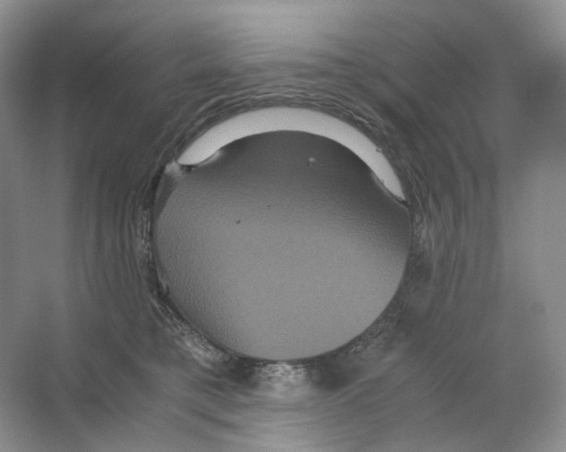 X0000063440421200602171835
