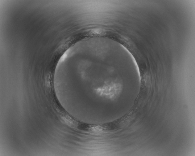X0000063440423200602171835