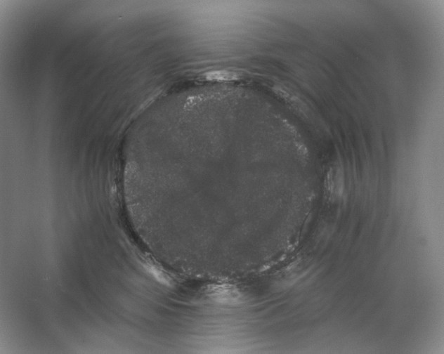X0000063440424200602171835