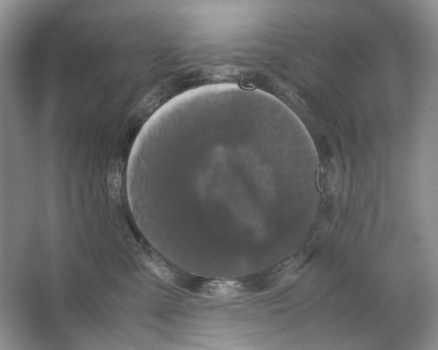 X0000063440427200602171835
