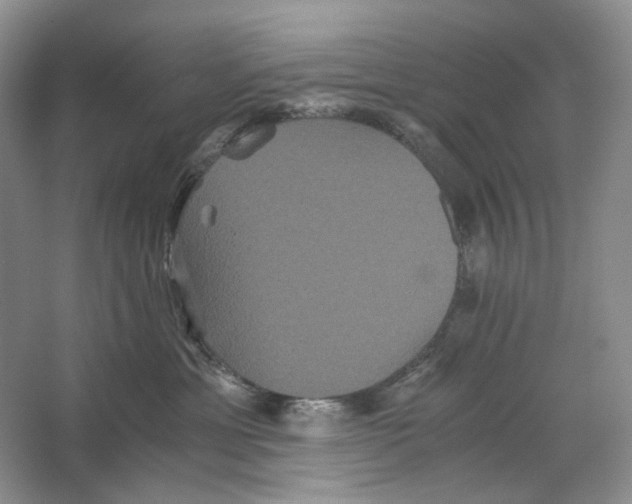 X0000063440429200602171835