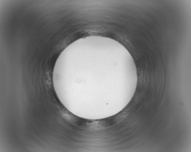 X0000063440430200602171835