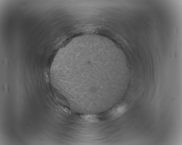 X0000063440432200602171835
