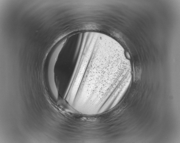 X0000063440435200602171834